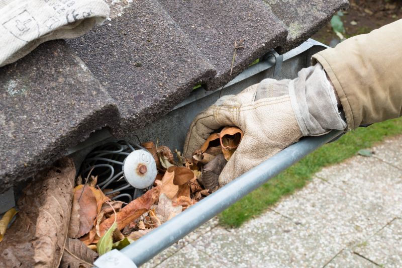 Clogged Gutter Clearing in Baltimore, MD