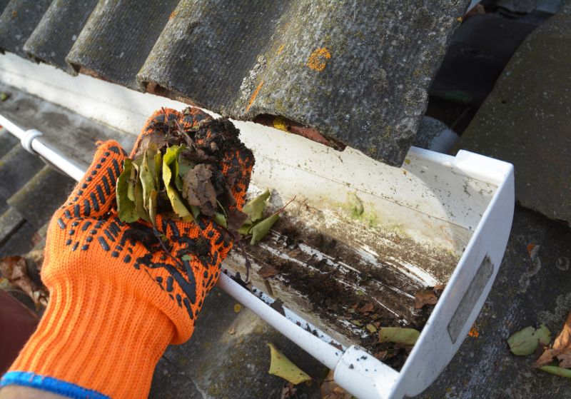 Gutter Leaf Clearing in Richmond, VA