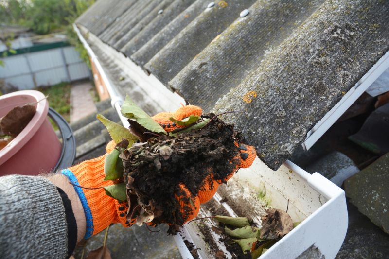 Gutter Leaves Removal in Richmond, VA