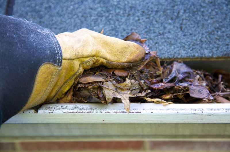 Gutter Pine Needle Removal in Monmouth County, NJ