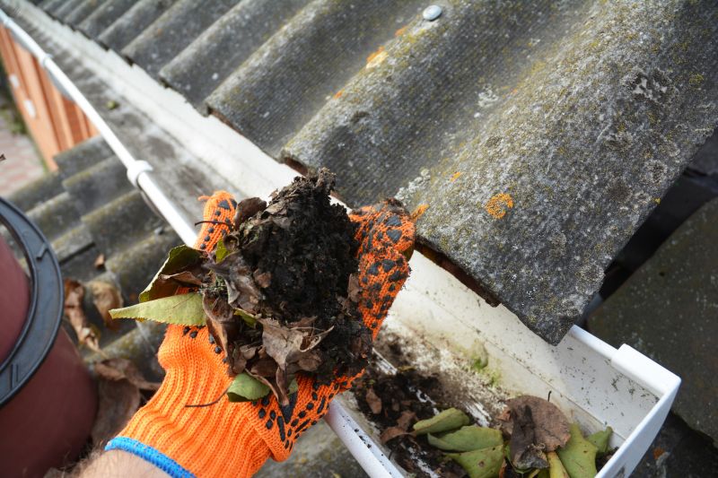 Roof Gutter Cleaning in Monmouth County, NJ
