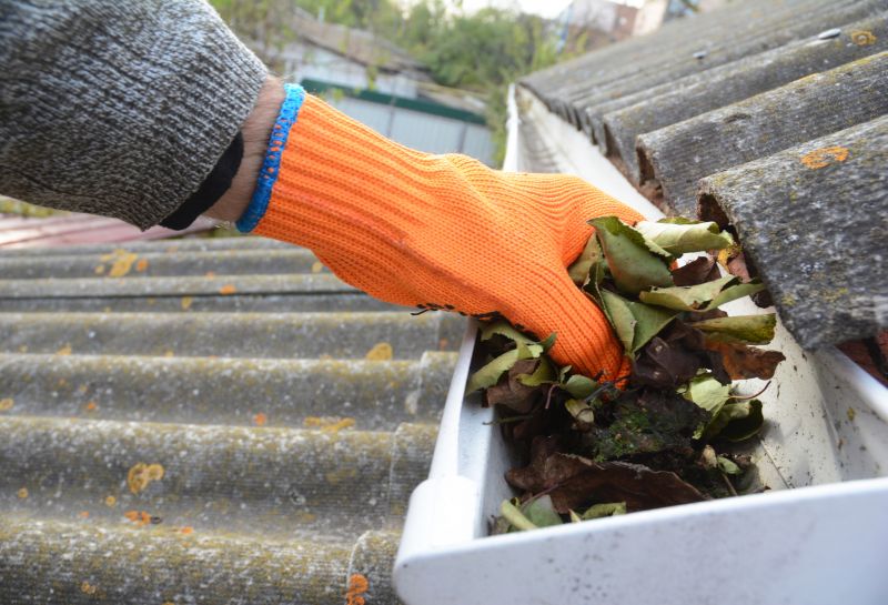 Roof Gutter Cleaning in Baltimore, MD